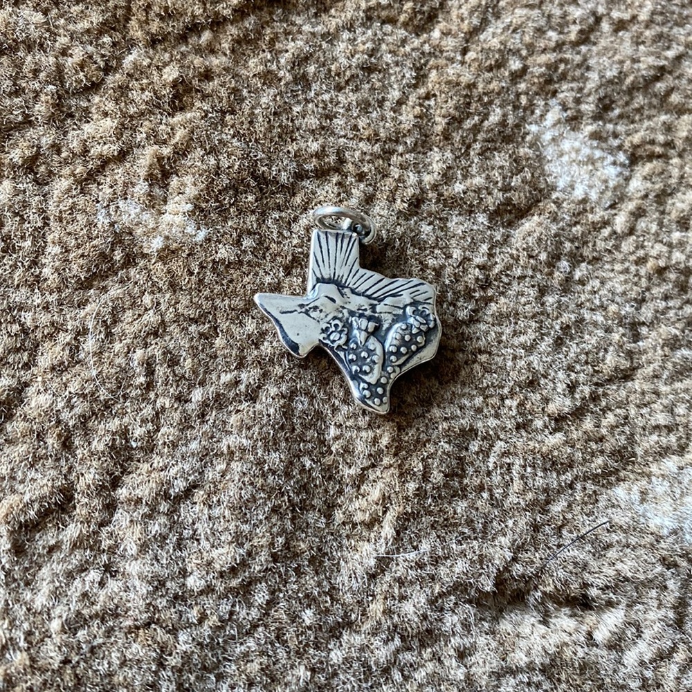 Texas Landscape Charm